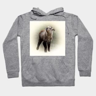 Baby takin Hoodie